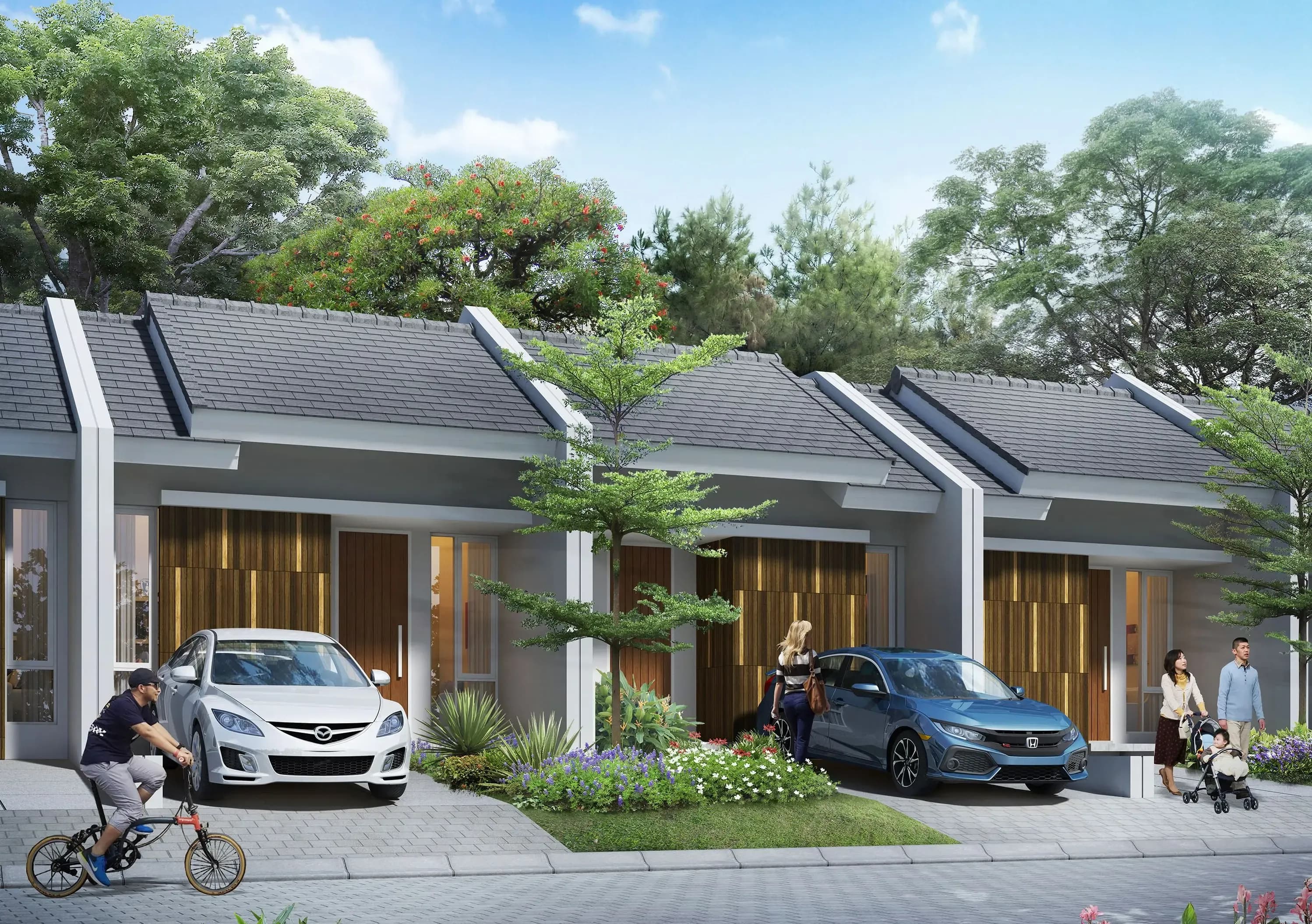 Property's photo